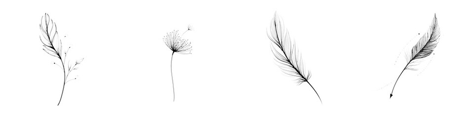 Obraz premium Delicate Feather Illustrations: A Collection of Light and Airy Graphic Elements