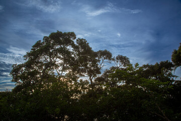Obraz premium 奄美大島のの夏の空、