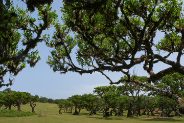 Hiking in the dramatic Mountains of Madeira, Portugal, Europe