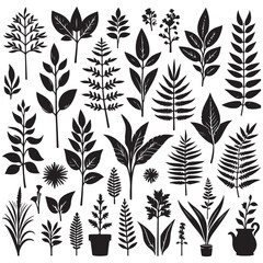 Flower Silhouettes  illustrations
