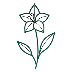 vector illustration of  watsonia lepida line art