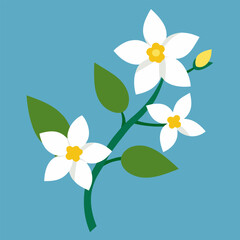 winter jasmine white vector isolated
