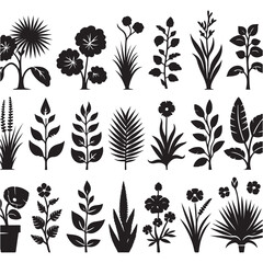 Flower Silhouettes  illustrations