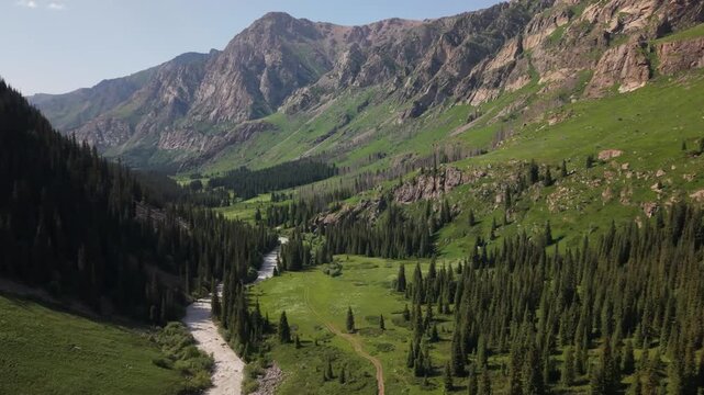 Ala archa valley revealing verdant landscape with winding river, dense forests, and towering mountains capturing natural serenity in kyrgyzstan's wilderness