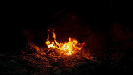 fire burning in the fireplace