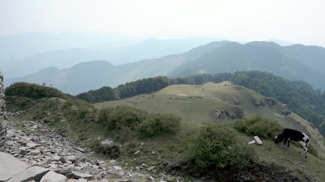 India's breathtaking mountain views boast majestic peaks, lush valleys, and serene landscapes in Shoja Himachal Pradesh india.	