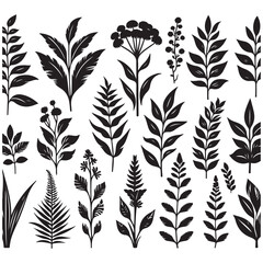 field silhouette Background material, Flowering plant