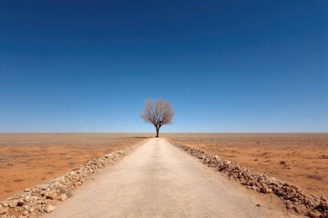 Lone tree on a desert road, vast blue sky