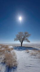 Solitary snow-covered tree in a vast, sunlit winter field
