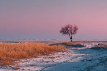 Solitary tree on snowy plain at dusk, pastel sky
