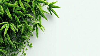 Lush green bamboo foliage spills over a light gray background