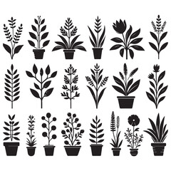 field silhouette Background material, Flowering plant