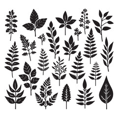 field silhouette Background material, Flowering plant