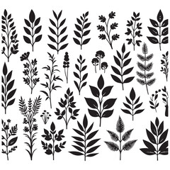 field silhouette Background material, Flowering plant