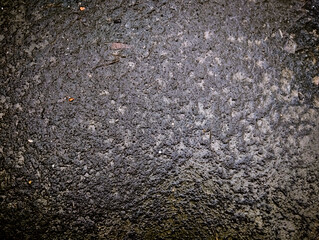 Rough Wet Concrete Surface Texture