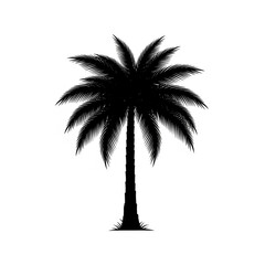 Black silhouette of a palm tree on a white background