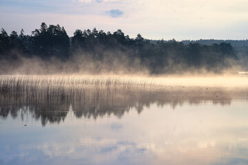 Mystical morning at the lake, fog, reflections and quiet natural idyll