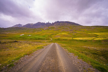 A lonely gravel road cuts through Iceland&rsquo;s green valleys leading toward jagged peaks beneath a moody sky heavy with passing clouds