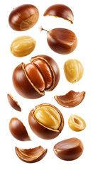 Close-up of peeled and unpeeled chestnuts isolated on white background, perfect for culinary, healthy food, or seasonal autumn designs