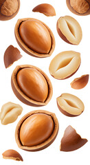 Fototapeta premium Close-up of shelled and unshelled argan nuts isolated on white background, healthy superfood ingredient perfect for cooking and beauty products