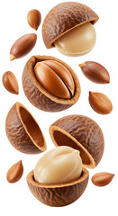 Close-up of shelled and unshelled macadamia nuts isolated on white background, healthy snack and natural ingredient