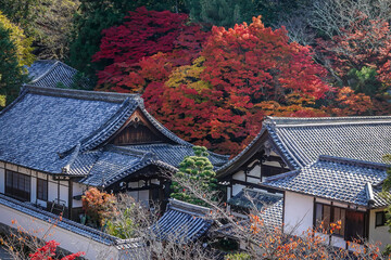 Beautiful autumn scenery in Kyoto, Japan