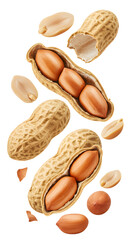 Close-up of raw peanuts in shells and shelled peanuts isolated on white background - perfect for healthy snack or cooking ingredients