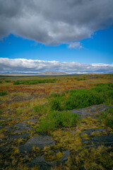 Vast Icelandic landscape with vibrant moss, lava fields, and dramatic skies rolling over distant mountains