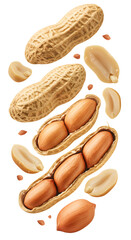 Close-up of whole and shelled peanuts isolated on white background, perfect for healthy snack and cooking concepts