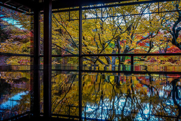 Beautiful autumn scenery in Kyoto, Japan