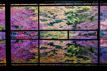 Beautiful autumn scenery in Kyoto, Japan