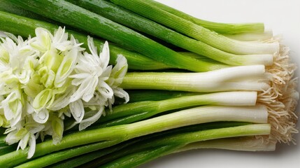Fototapeta premium Fresh Green Onions with White Flowers on a Bright Background