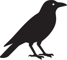 Stylized bird illustration with vibrant colors and clean lines