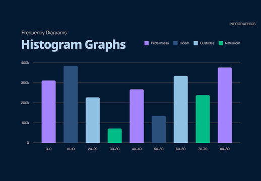 Histogram Infographic Template for Bar Charts in Business Presentation Layouts