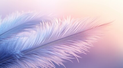 Fototapeta premium Close-up view of delicate feathers in pastel shades.