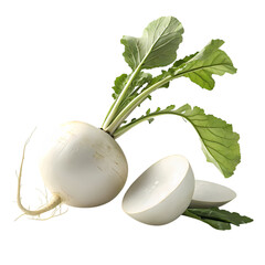 White Radish: Fresh Produce, Vegetable, Culinary Ingredient, Asian Cuisine