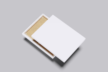 Canvas Mockup Blank