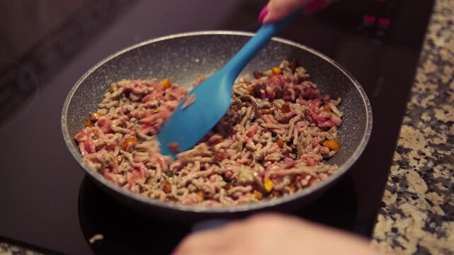 Mince meat with chopped carrots cooking on frying pan on induction stove. Cooking delicious dish with fresh mince meat and vegetables at home.