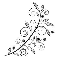 A black and white floral flourish adds an elegant touch. The design features stylized leaves, spiraling vines, and delicate berries.

