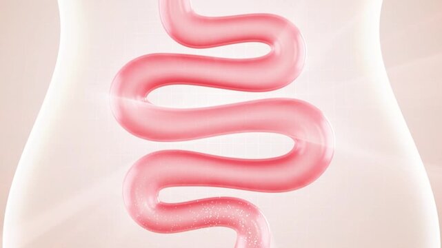 Pills release particles to clean intestinal waste and restore intestinal health. Probiotics in the intestines help digestion and treat flatulence. Intestinal and digestive health concept, 3D animation