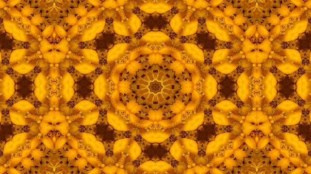 Animated Abstract kaleidoscope orange pattern with gold brown and orange hues. Suitable for backgrounds, textiles, prints, and design projects needing vibrant colors and patterns.