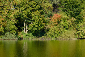 Landscape of a river with trees in the background, illuminated by warm sunlight