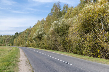 an asphalt road with a left turn with deciduous trees in a mixed forest in the autumn season, beautiful colorful foliage of trees in the autumn season before leaf fall and a narrow highway