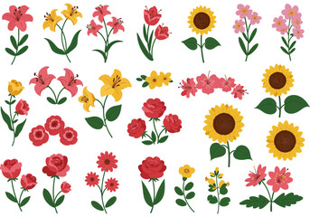 Set of botanical plant with flowers flat style art element design