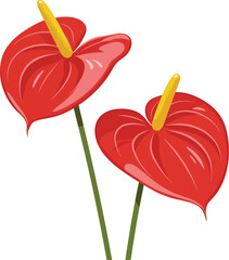 Vibrant red anthurium flowers blooming tropical elegance exotic botanical beauty vector