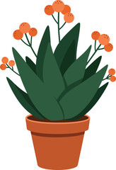 Vibrant potted succulent with orange blossoms vector