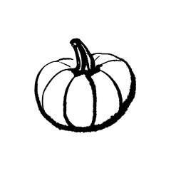 Hand drawn sketch vegetable pumpkin. Eco food. Vector vintage black and white whimsical illustration
