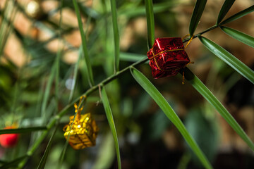 Small red and gold gift boxes hanging on green plant leaves