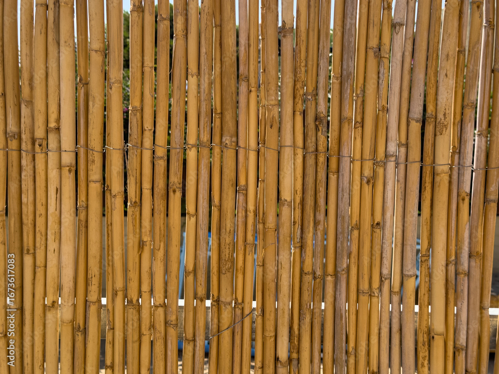 Poster high-resolution image of a natural bamboo fence, perfect for backgrounds and textures. ideal for web
