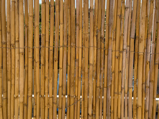 High-resolution image of a natural bamboo fence, perfect for backgrounds and textures.  Ideal for website design and print projects.